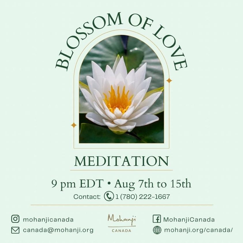 meditation-august-bol