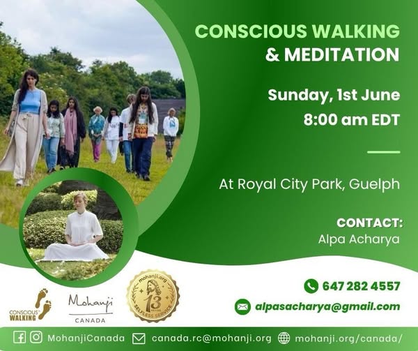 conscious walking and meditation